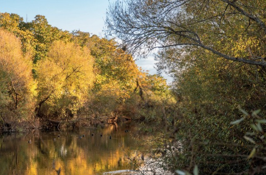 How To Find Hunting Spots: Scouting and Door Knocking