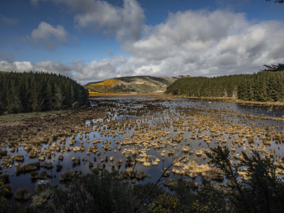 Takitakitoa