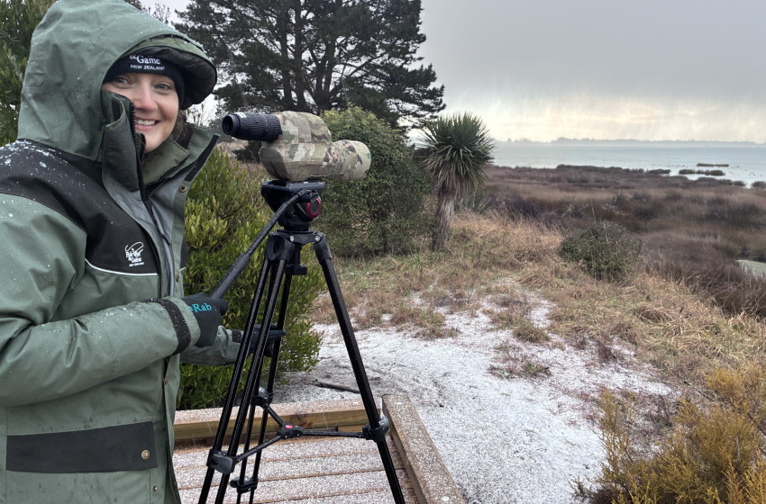 Counters brave the cold as annual shoveler survey spans the country
