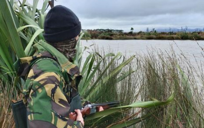 Take Mate Hunting
