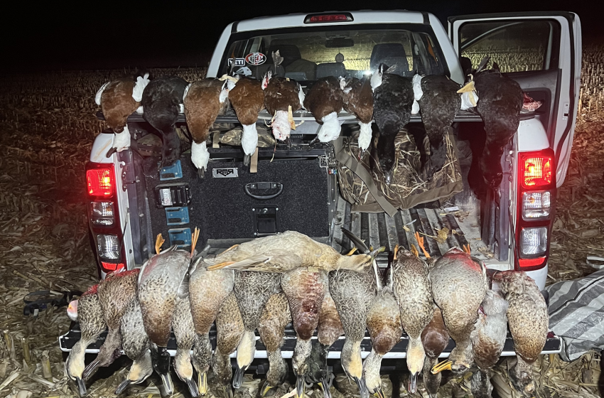 Wellington/Taranaki Weekly Hunting Bulletin - 11 June 2026