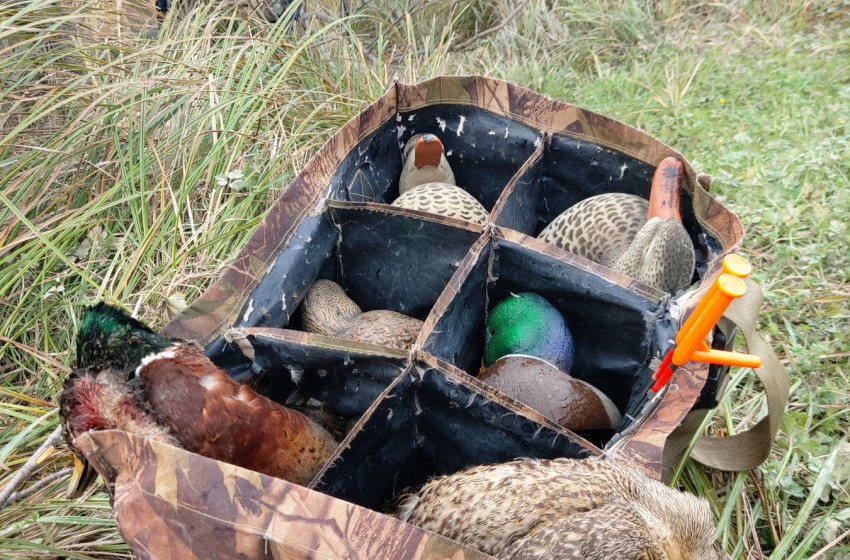 Wellington/Taranaki Weekly Hunting Bulletin - 21 May 2026