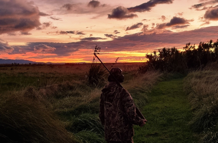 Wellington/Taranaki Weekly Hunting Bulletin - 25 June 2026