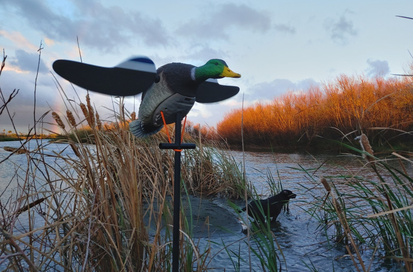 Wellington/Taranaki Weekly Hunting Bulletin - 30 April 2026