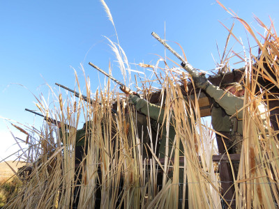 BBcsi1 Its game on for the 2022 hunting season credit Rhys Adams