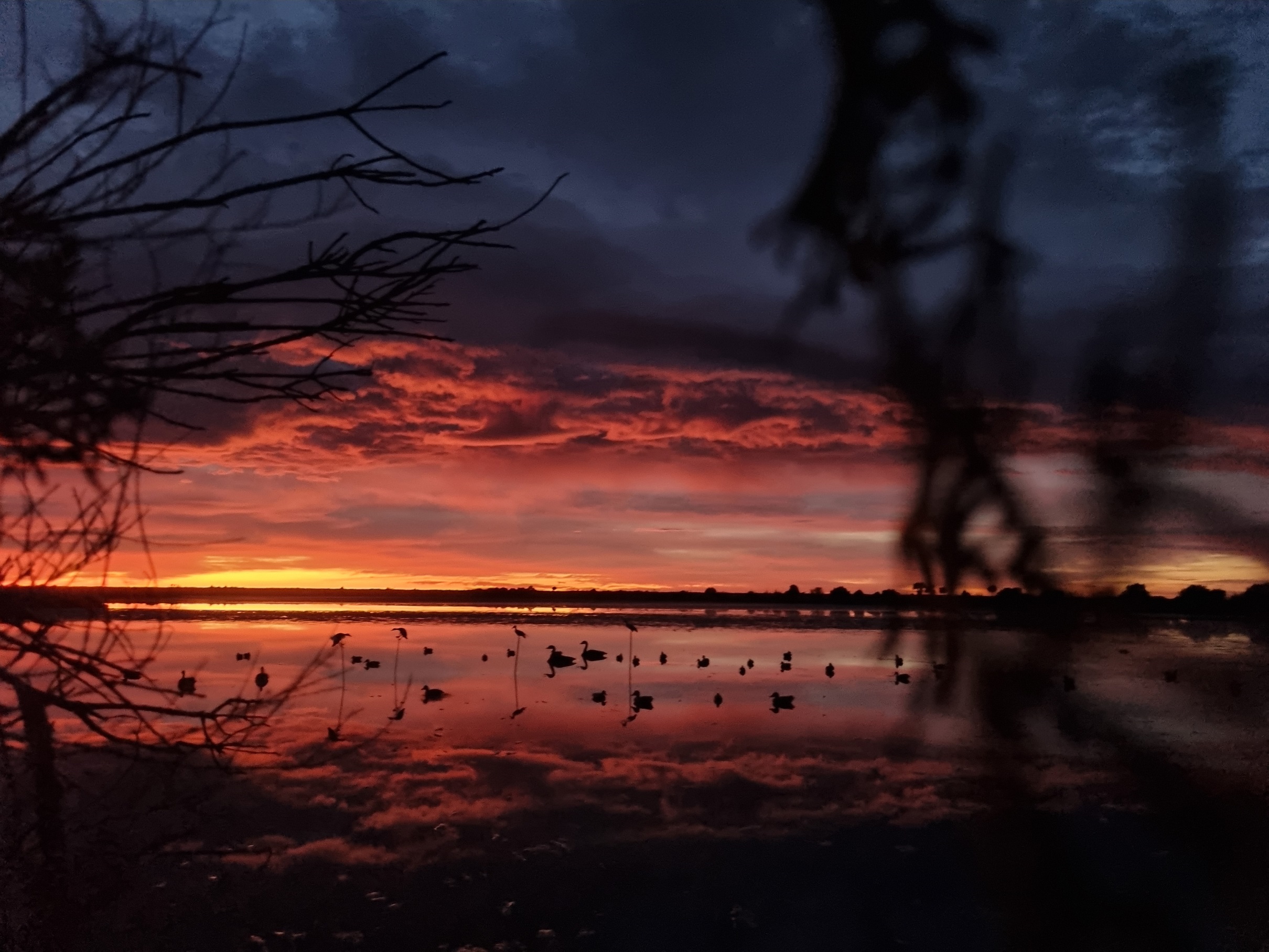 BBcsi3 Dawn at Wainono Wetland Reserve credit Jaxson McKenzie