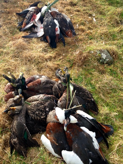 TBB2Jun18 The results of a successful shoot during the 2018 season