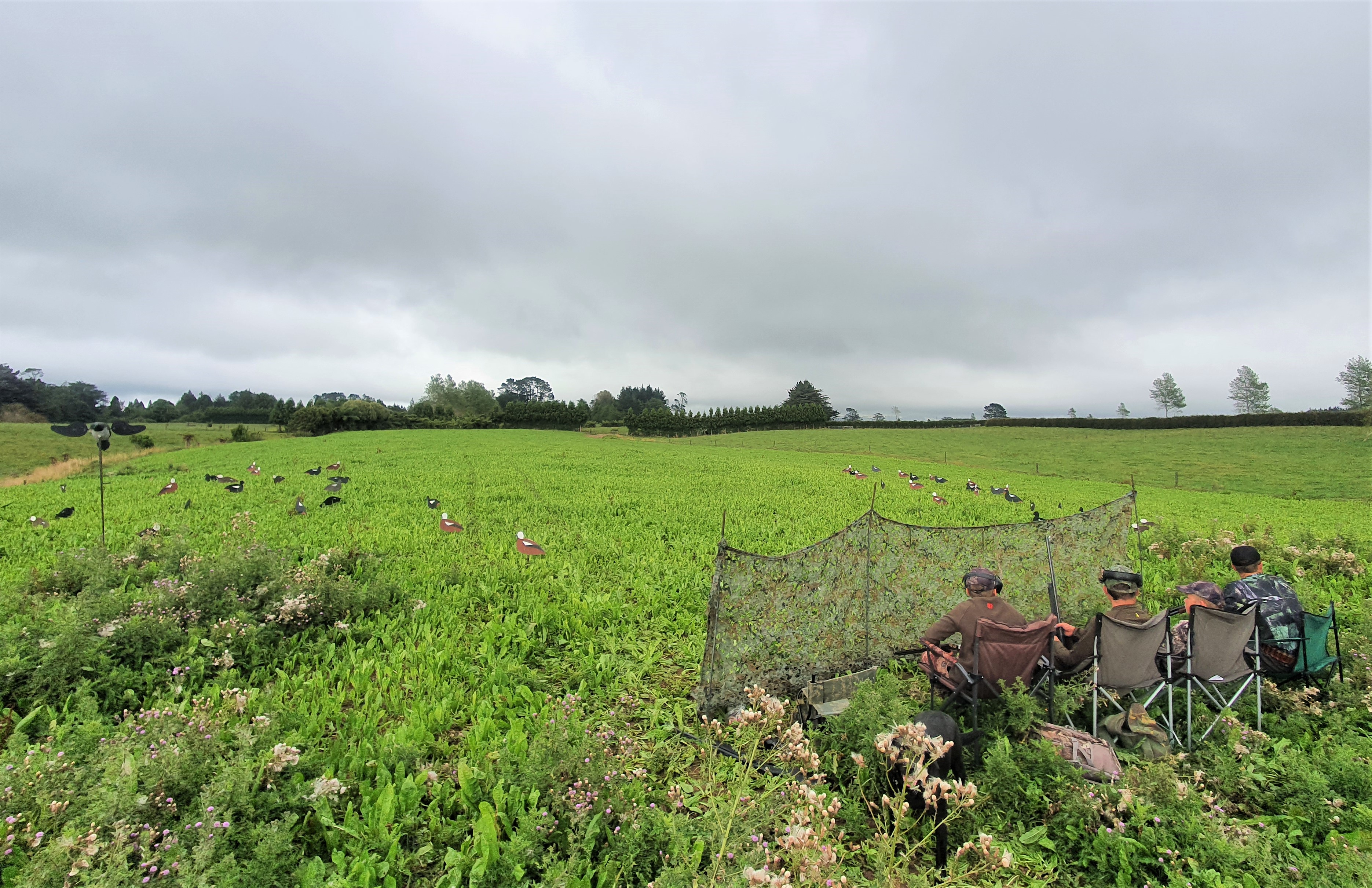 Hunters all set for a productive paradise shelduck summer hunting season. Photo Curly McEwen.