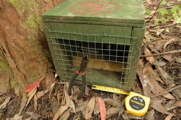 Doc trap photo 1