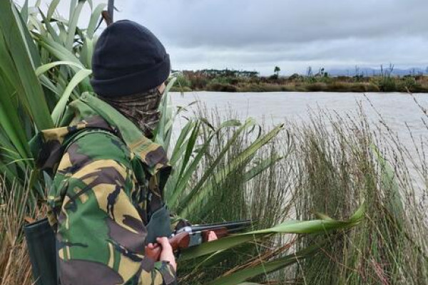 Take Mate Hunting
