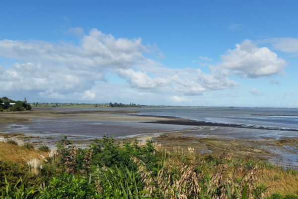 Manukau Harbour 1