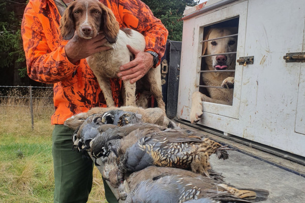 4. Forestry quail
