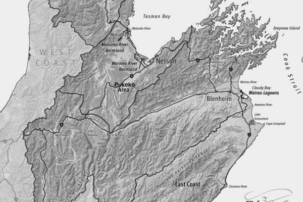 nelson map