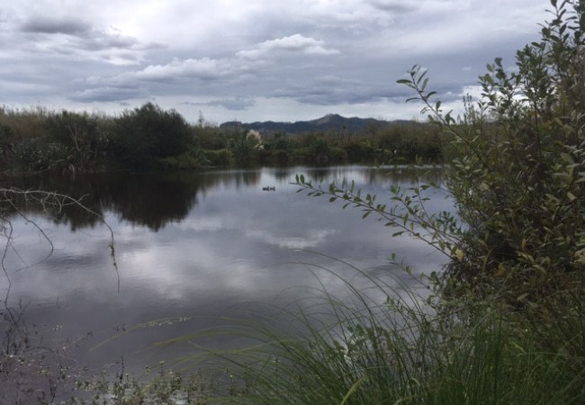 Dean pond 16